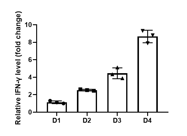 Mouse IFN-gamma Quantikine ELISA Kit MIF00