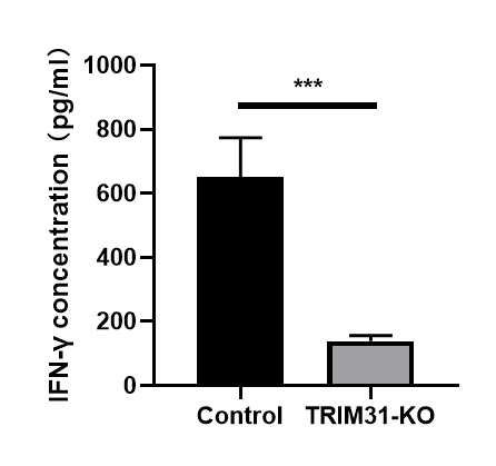 Mouse IFN-gamma Quantikine ELISA Kit MIF00
