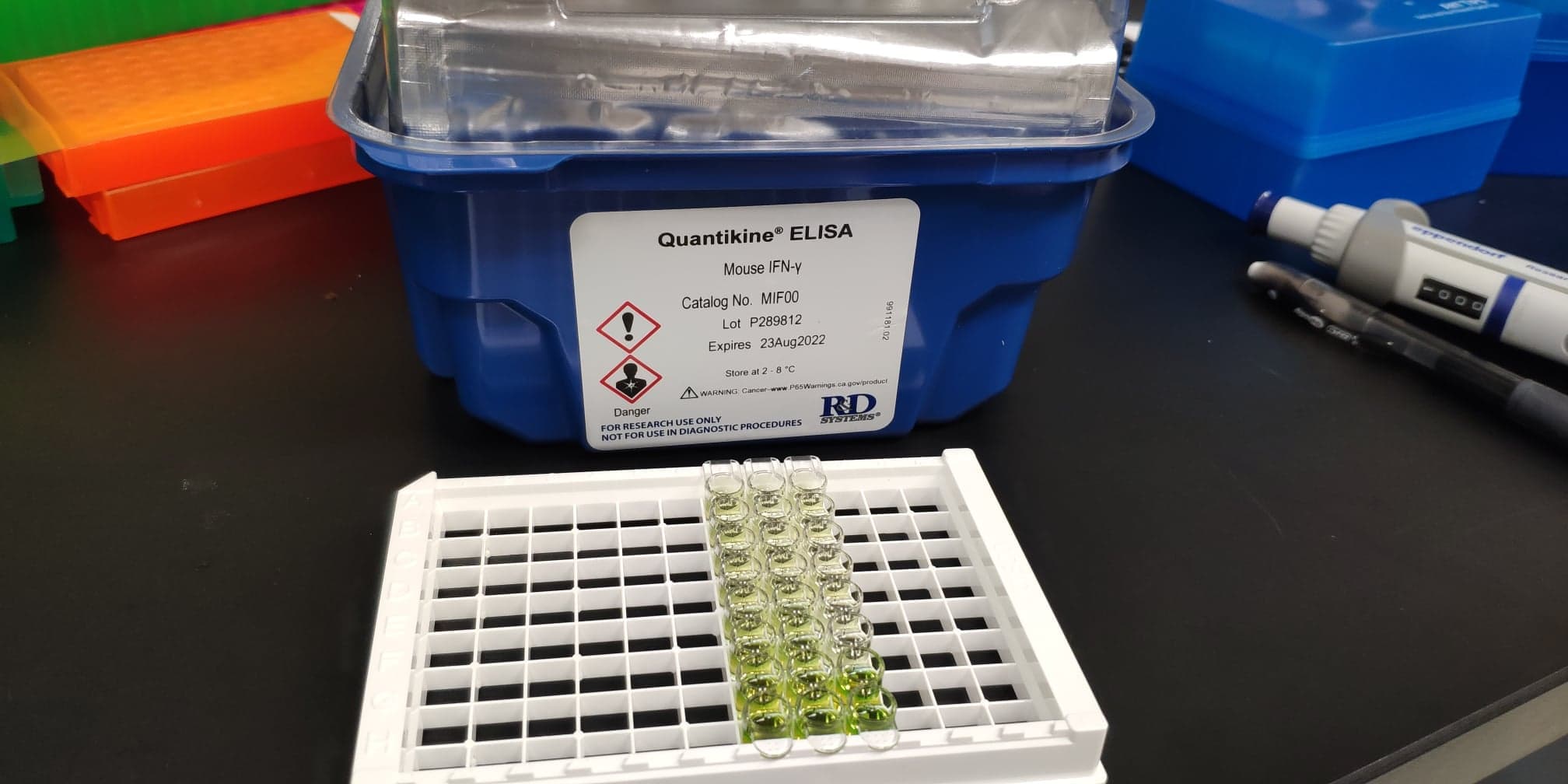 Mouse IFN-gamma Quantikine ELISA Kit MIF00