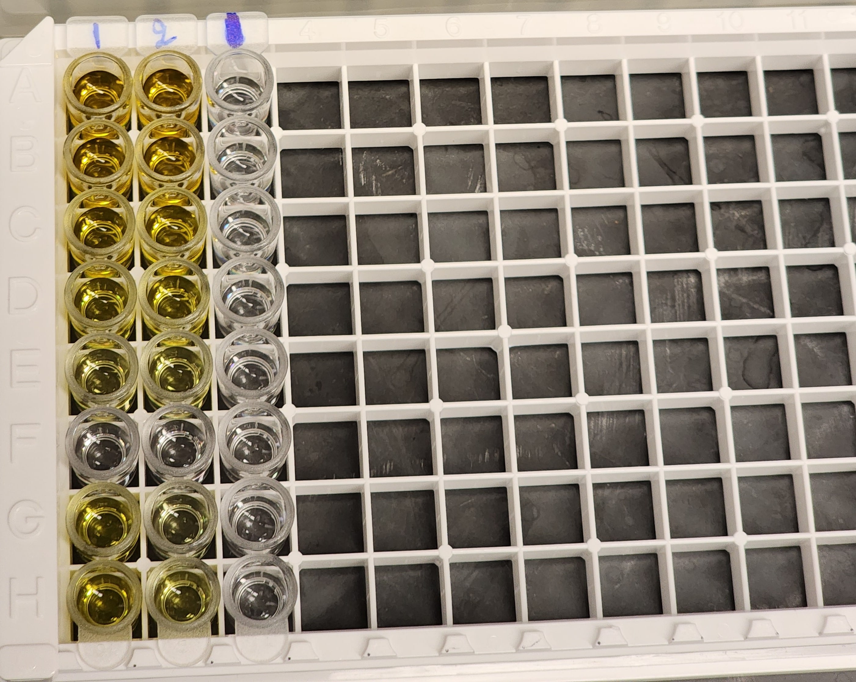 Mouse IFN-gamma Quantikine ELISA Kit MIF00