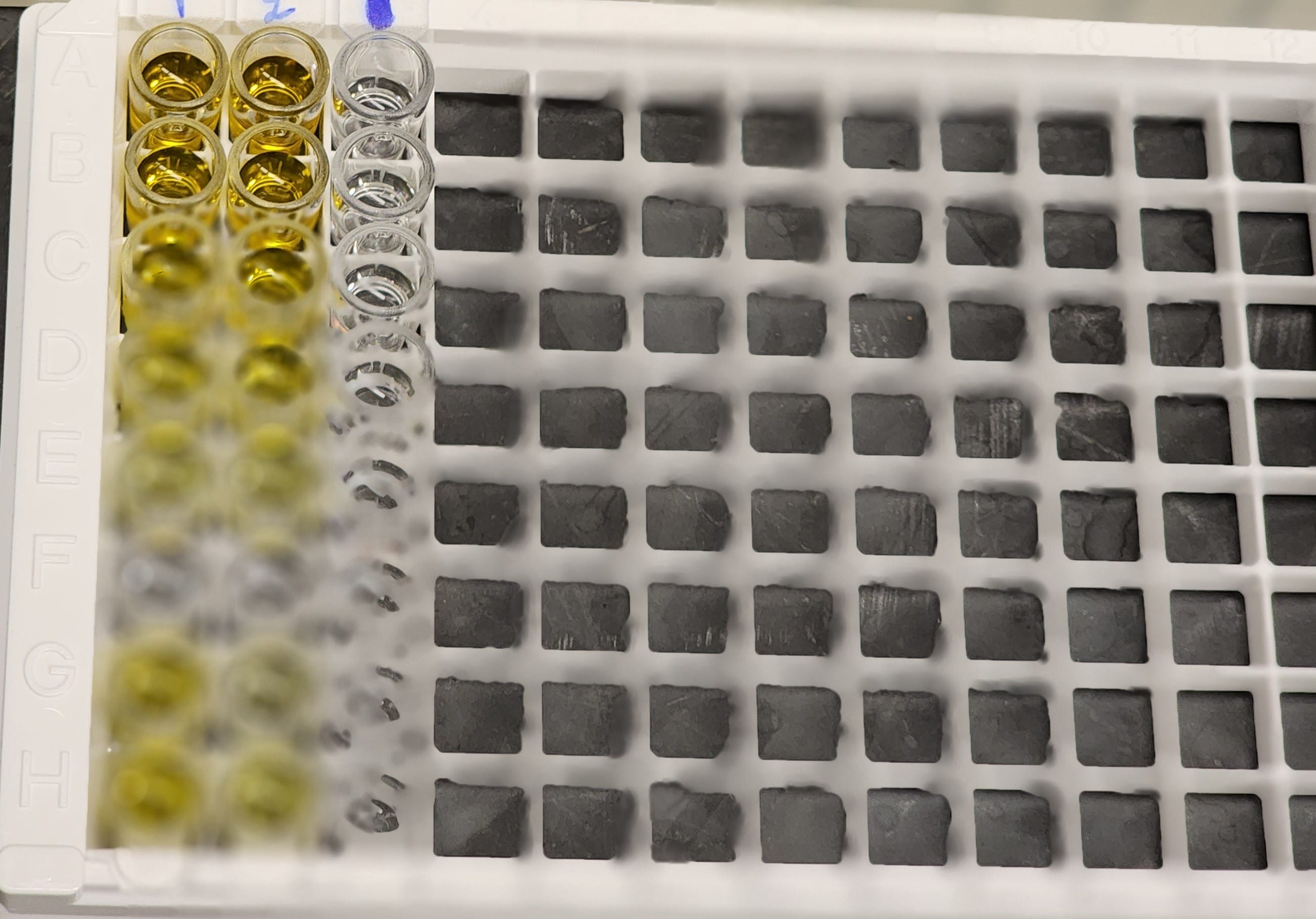 Mouse IFN-beta Quantikine ELISA Kit MIFNB0
