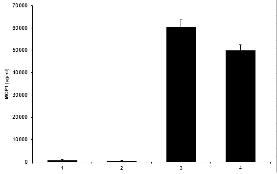 Mouse CCL2/JE/MCP-1 Quantikine ELISA Kit MJE00B