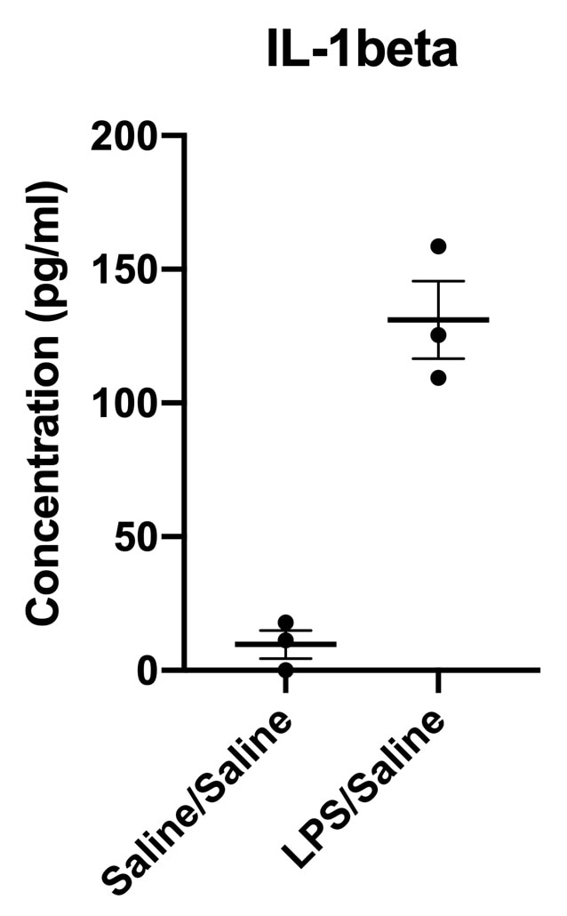 Mouse IL-1 beta/IL-1F2 Quantikine ELISA Kit MLB00C