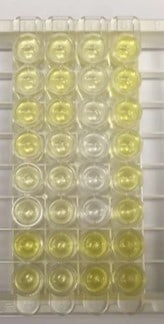 Mouse IL-1 beta/IL-1F2 Quantikine ELISA Kit MLB00C