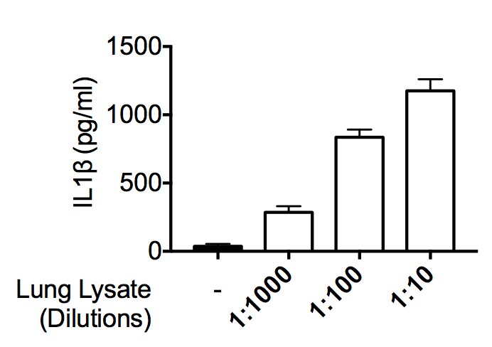 Mouse IL-1 beta/IL-1F2 Quantikine ELISA Kit MLB00C