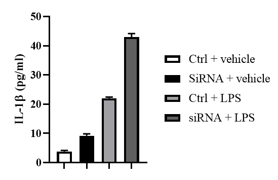 Mouse IL-1 beta/IL-1F2 Quantikine ELISA Kit MLB00C