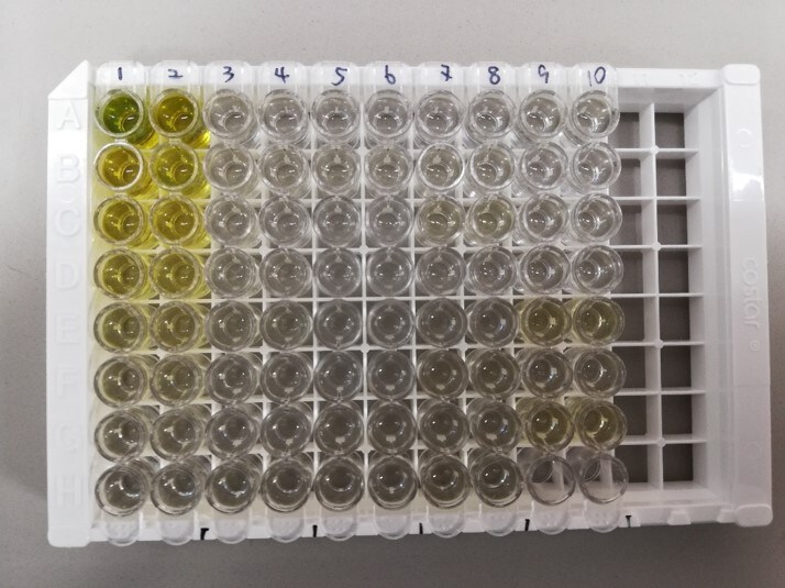 Mouse LIF Quantikine ELISA Kit MLF00