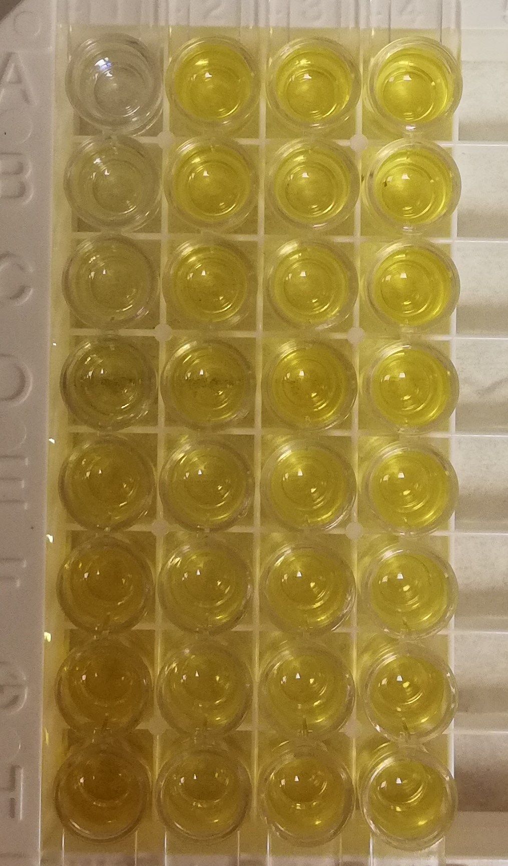 Mouse M-CSF Quantikine ELISA Kit MMC00