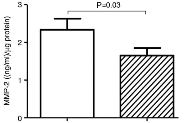 Total MMP-2 Quantikine ELISA Kit MMP200