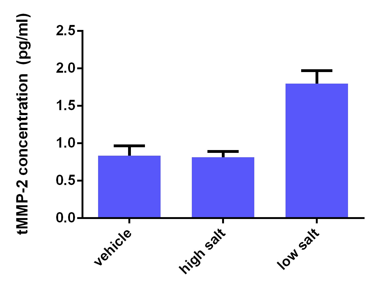 Total MMP-2 Quantikine ELISA Kit MMP200