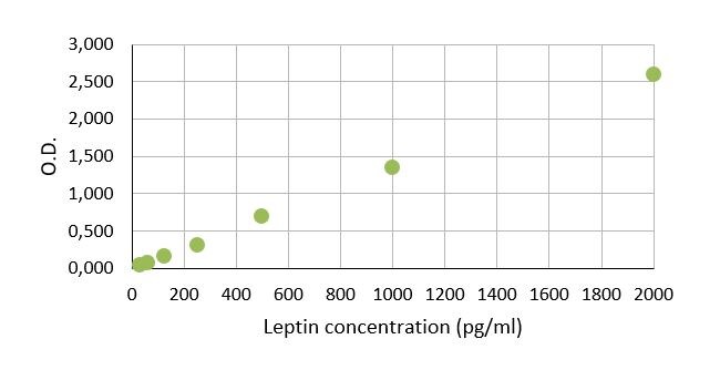 Mouse/Rat Leptin Quantikine ELISA Kit MOB00B