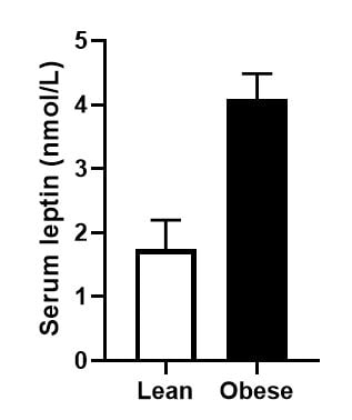 Mouse/Rat Leptin Quantikine ELISA Kit MOB00B