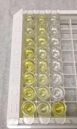 Mouse Periostin/OSF-2 Quantikine ELISA Kit MOSF20