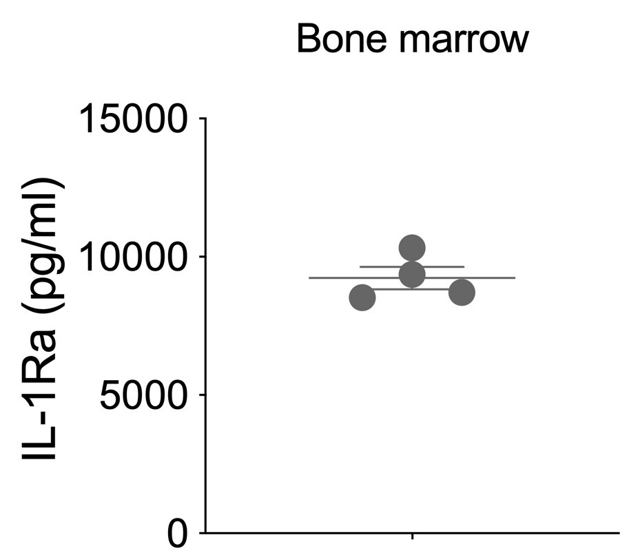 Mouse IL-1ra/IL-1F3 Quantikine ELISA Kit MRA00