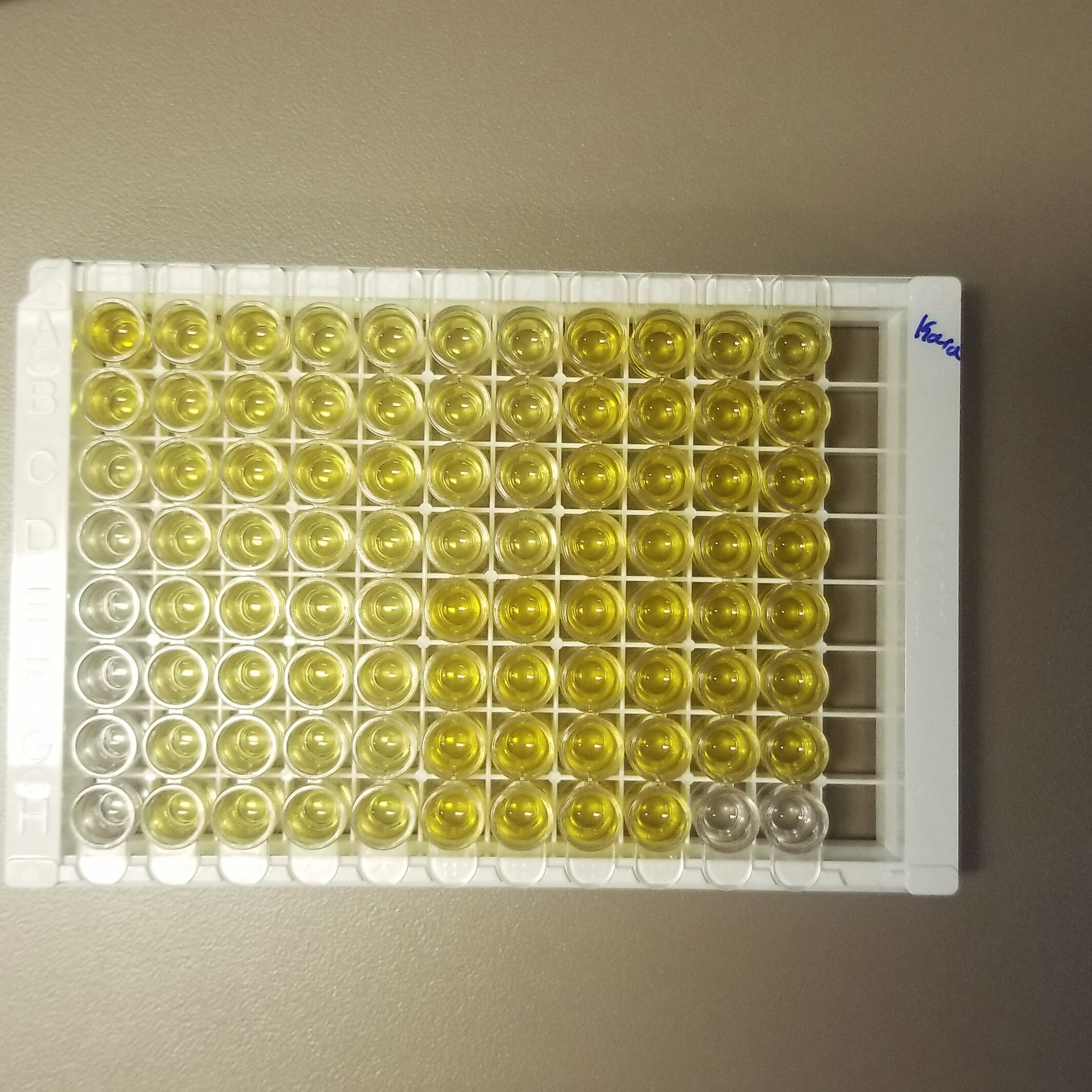Mouse SP-D Quantikine ELISA Kit MSFPD0