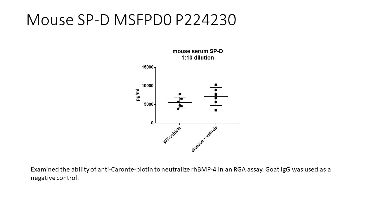 Mouse SP-D Quantikine ELISA Kit MSFPD0