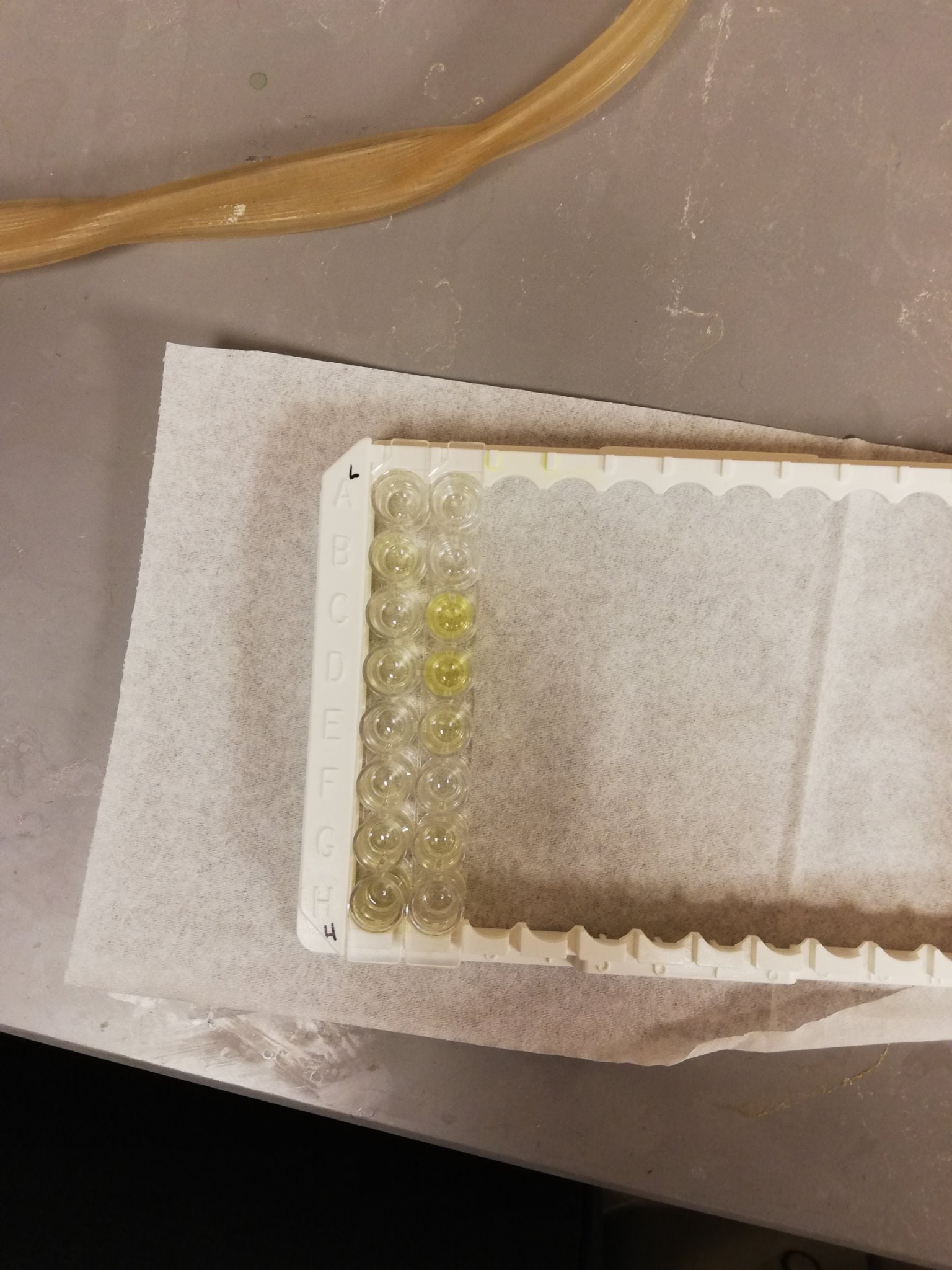 Mouse TNF-alpha Quantikine ELISA Kit MTA00B