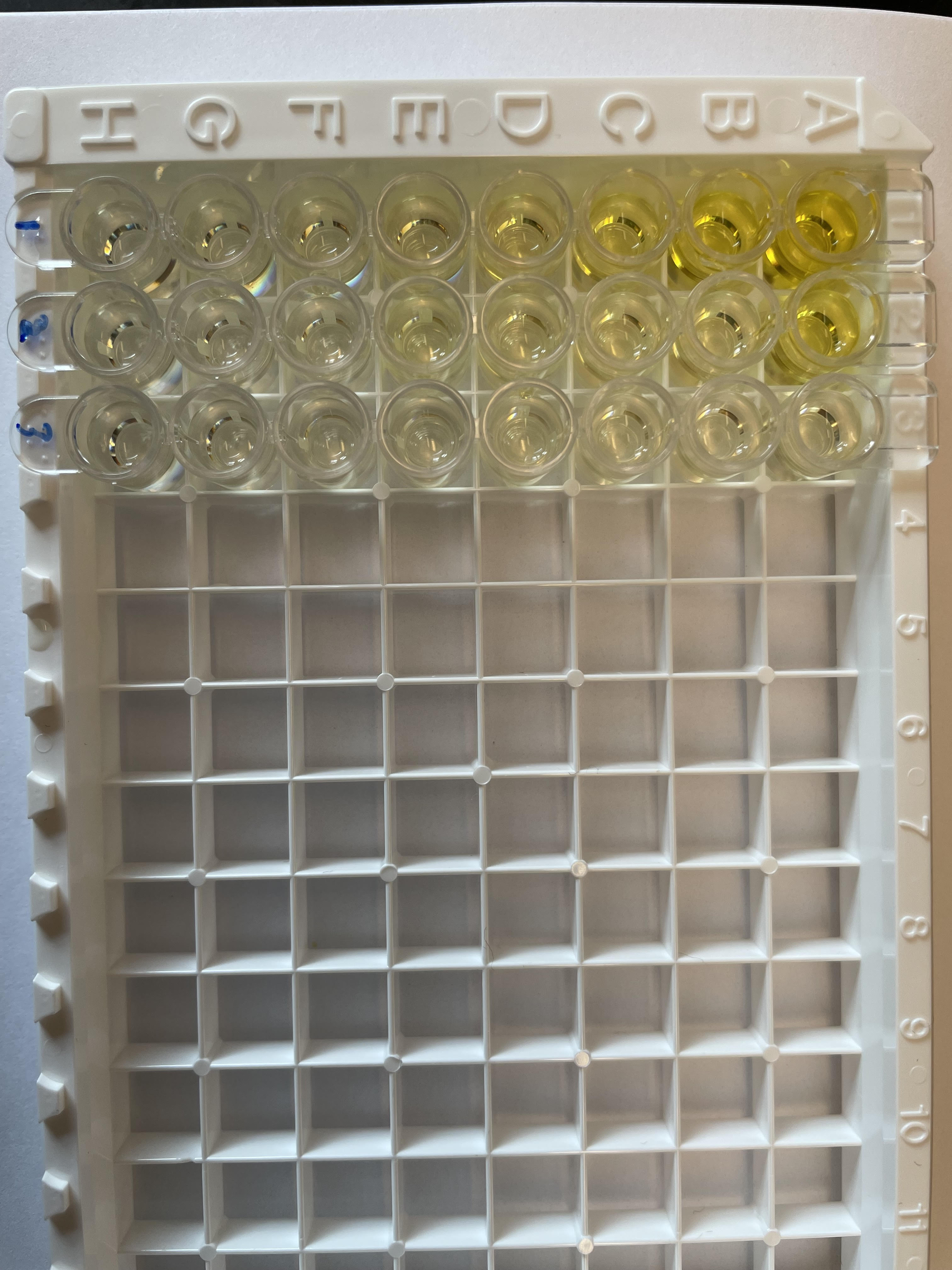 Mouse TNF-alpha Quantikine ELISA Kit MTA00B