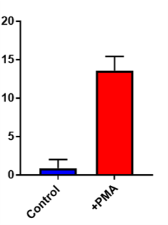 Mouse TNF-alpha Quantikine ELISA Kit MTA00B