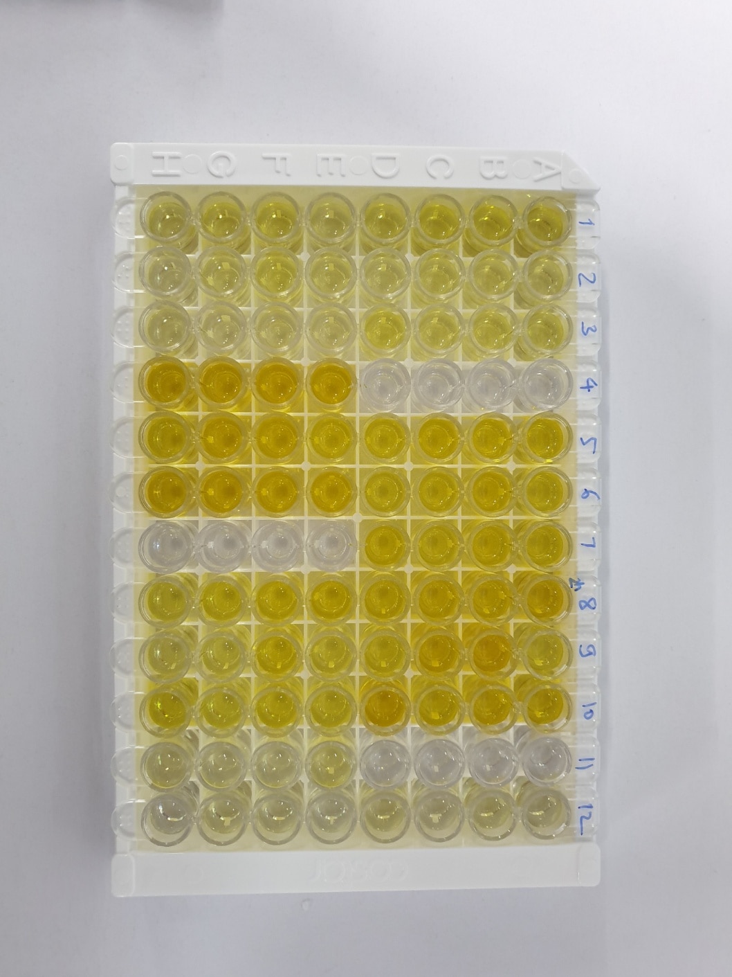 Mouse TNF-alpha Quantikine ELISA Kit MTA00B