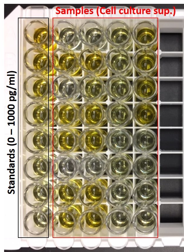 Mouse/Rat WISP-1/CCN4 Quantikine ELISA Kit MWSP10