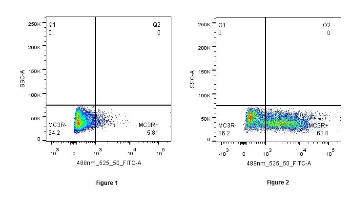 Melanocortin-3 R/MC3R Antibody NB100-1501