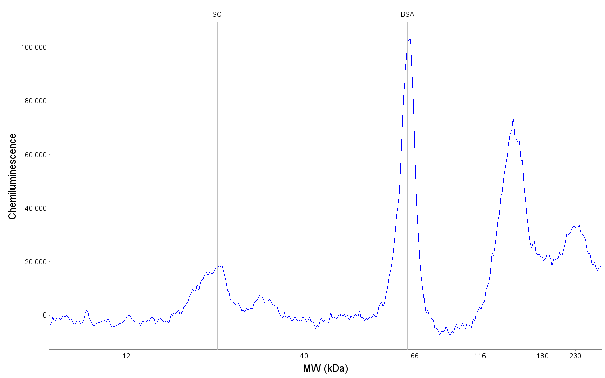 Bovine Serum Albumin Antibody (3G3A2) - BSA Free NB100-2195