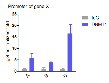 DNMT1 Antibody (60B1220.1) - BSA Free NB100-56519