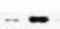 PRMT6 Antibody NB100-56642