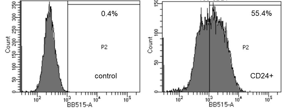 CD24 Antibody (SN3) [Alexa Fluor® 488] NB100-64861AF488