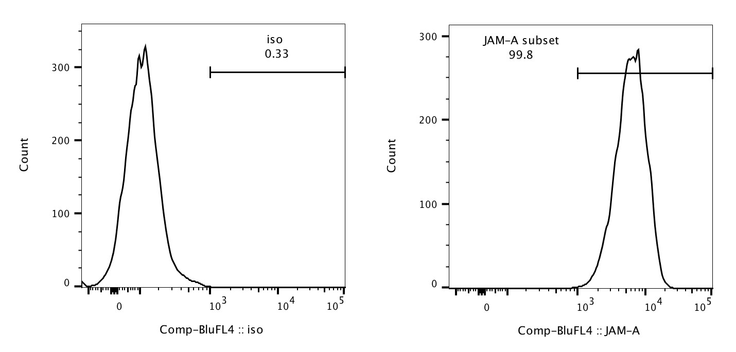 JAM-A Antibody (H202-106) [PerCP] NB100-65340PCP