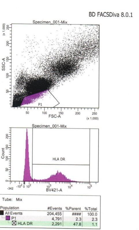 HLA-DR Antibody (L243) - BSA Free NB100-77855