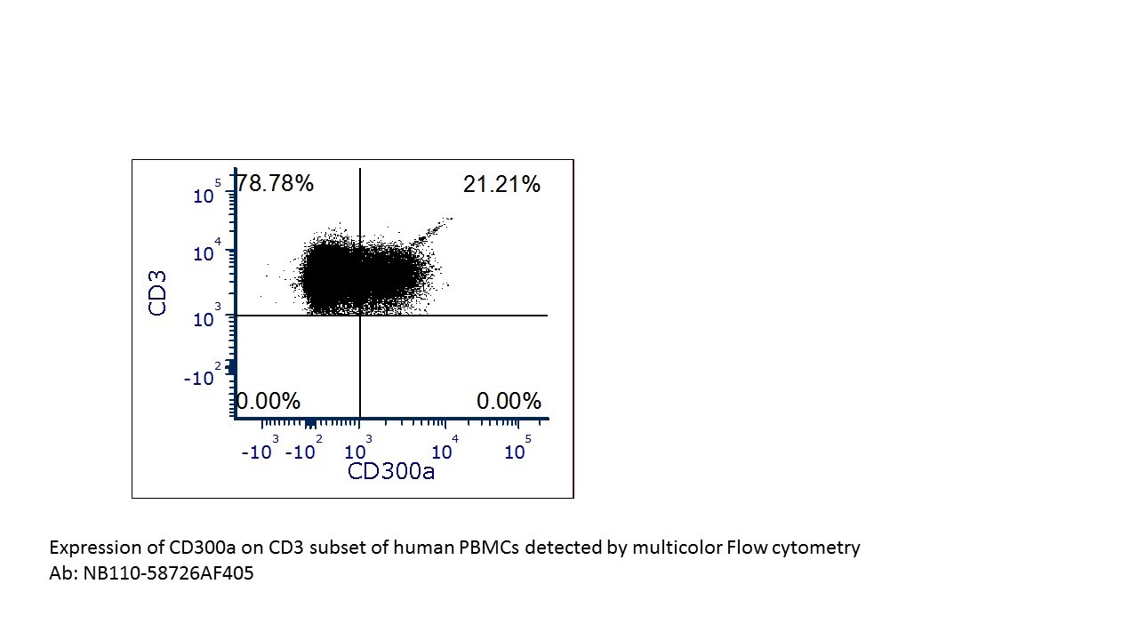 CD300a/LMIR1 Antibody (MEM-260) [Alexa Fluor® 405] NB110-58726AF405