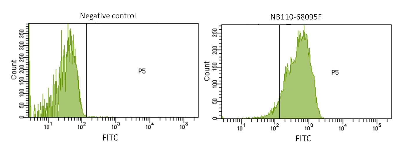 Hepatic Sinusoidal Endothelial Cells Antibody (SE-1) [FITC] NB110-68095F