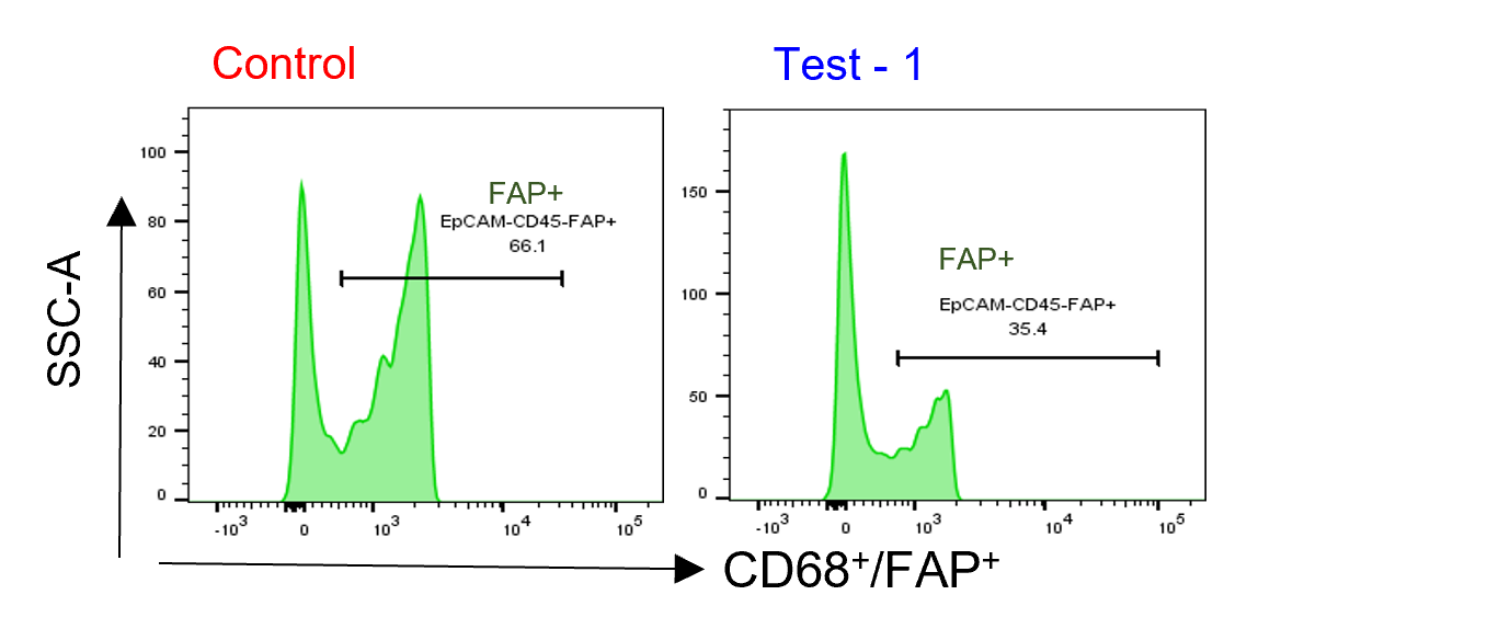 Fibroblast Activation Protein alpha/FAP Antibody [Alexa Fluor® 488] NB110-85534AF488