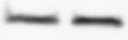CD11b Antibody - BSA Free NB110-89474