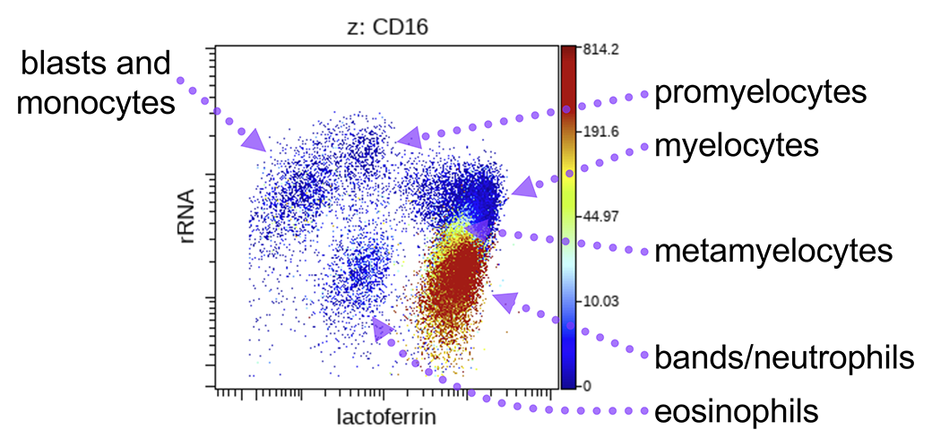 Lactoferrin Antibody (1C6cc) - BSA Free NB120-10109