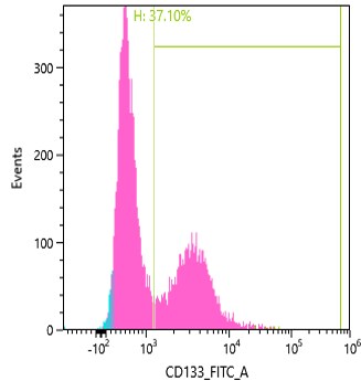 CD133 Antibody [DyLight 488] NB120-16518G