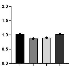 Histone H3 [ac Lys18] Antibody - BSA Free NB21-1144
