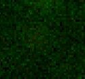 GABARAP Antibody - BSA Free NB300-158