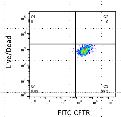 CFTR Antibody (CF3) NB300-511