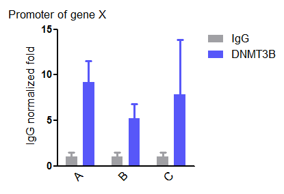 DNMT3B Antibody NB300-516