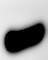 UBE2I/Ubc9 Antibody NB300-812