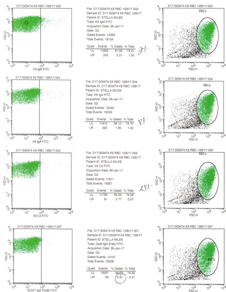 Goat IgG Isotype Control [FITC] NB410-28088F