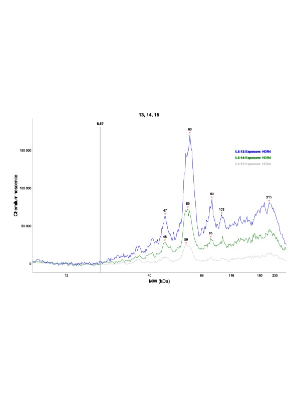 IL-6 Antibody - Azide and BSA Free NB600-1131