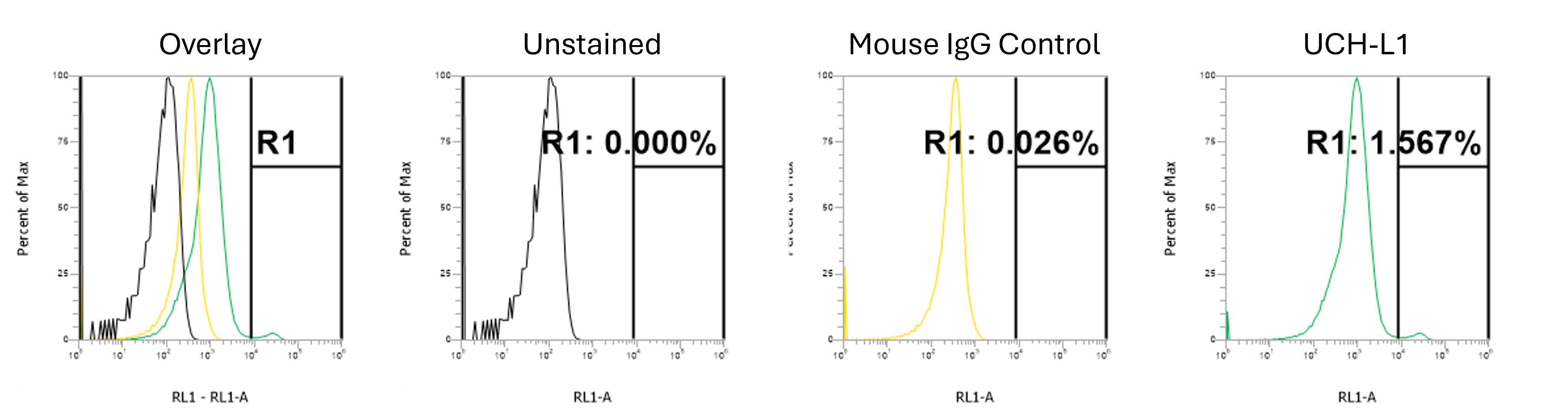 UCH-L1/PGP9.5 Antibody (31A3) NB600-1160