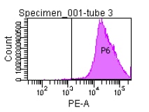 Collagen I alpha 1 Antibody (COL-1) NB600-450