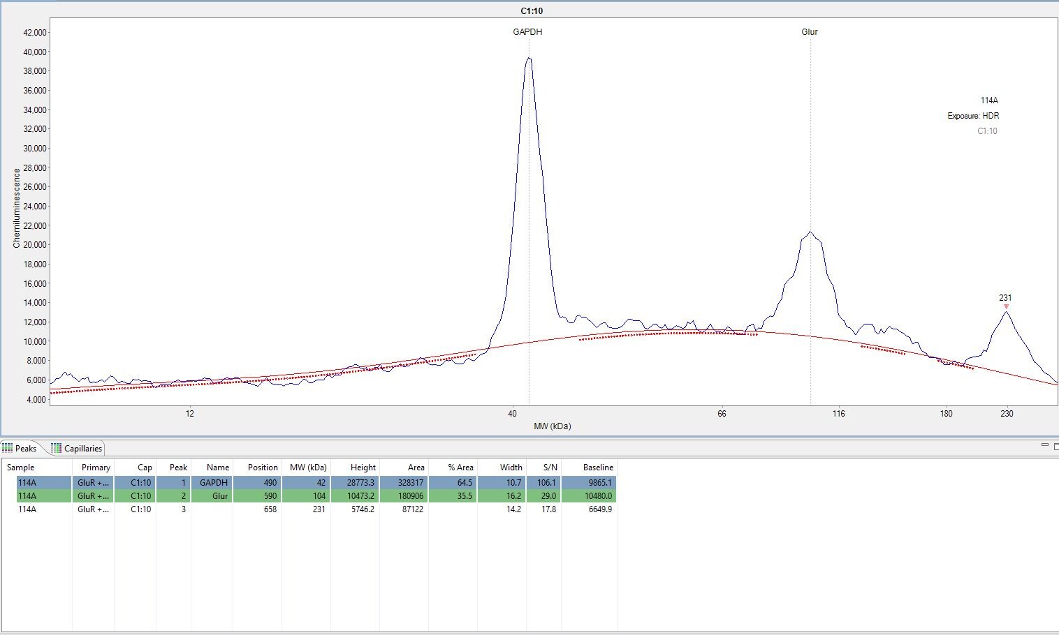 GAPDH Antibody (6C5cc) - BSA Free NB600-502