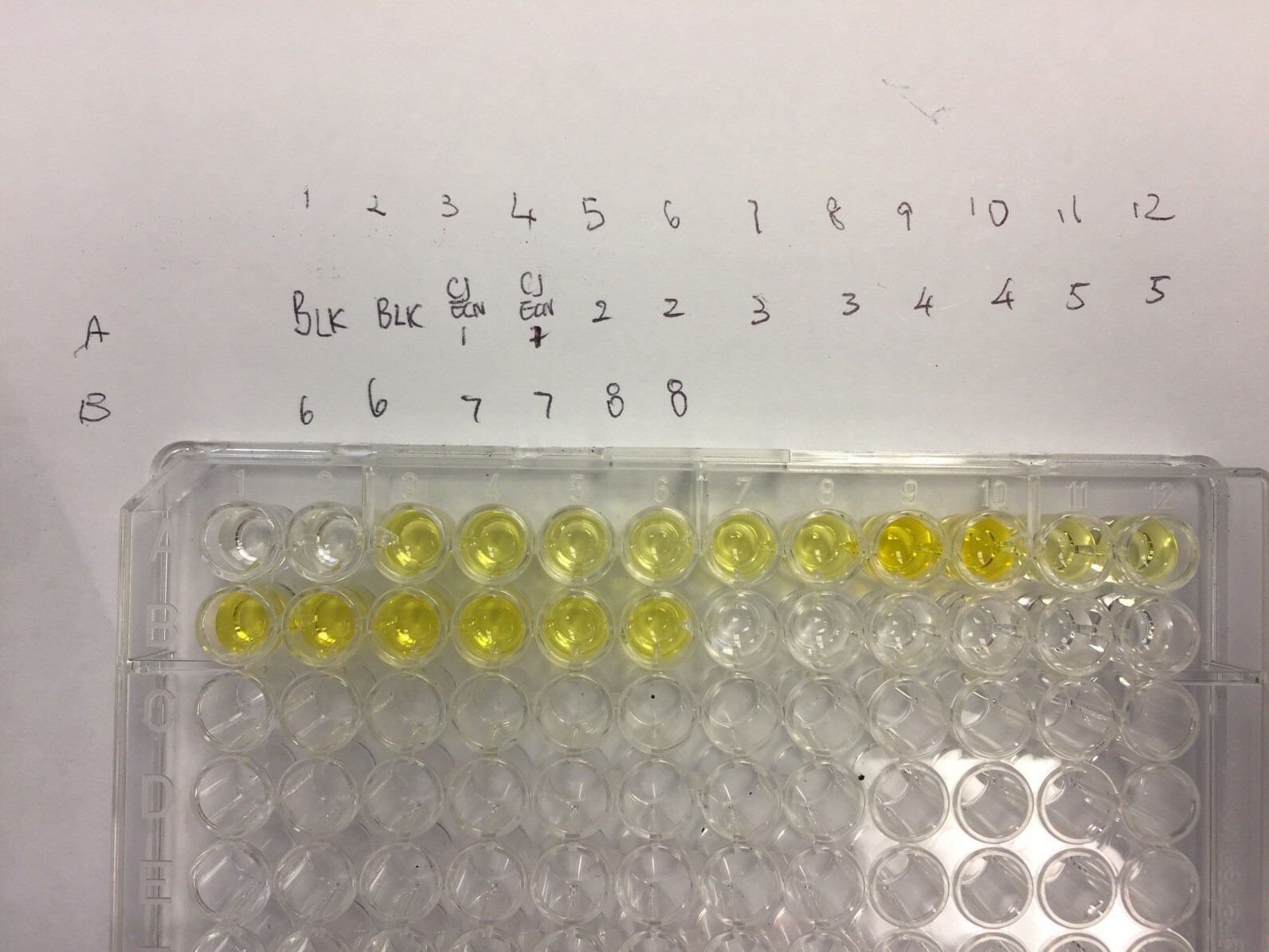 Goat anti-Chicken IgA Heavy Chain Secondary Antibody [HRP] NB7284