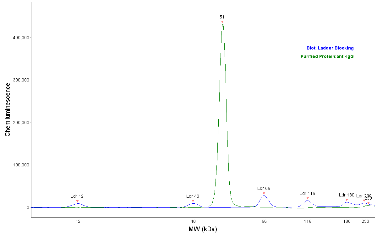 Goat anti-Mouse IgG (H+L) Secondary Antibody [Biotin] NB7537